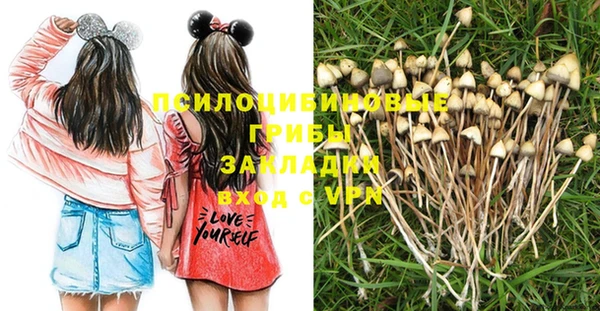 PSILOCYBIN Чегем