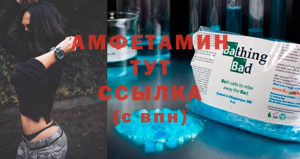 прущие грибы Чекалин