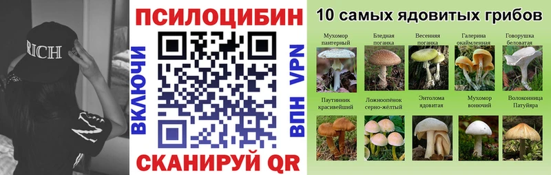 Псилоцибиновые грибы GOLDEN TEACHER Советск
