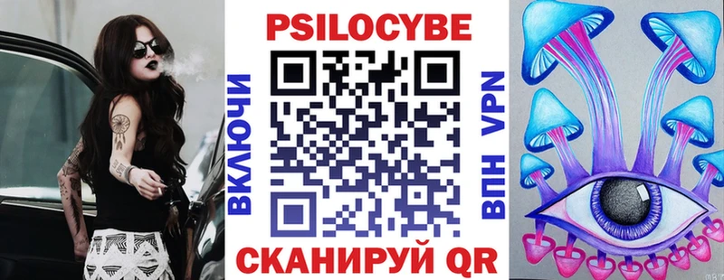 Купить где  Советск  Псилоцибиновые грибы Psilocybine cubensis 